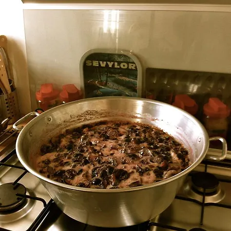 ベッド・アンド・ブレックファスト Les Cagettes En ペルピニャン