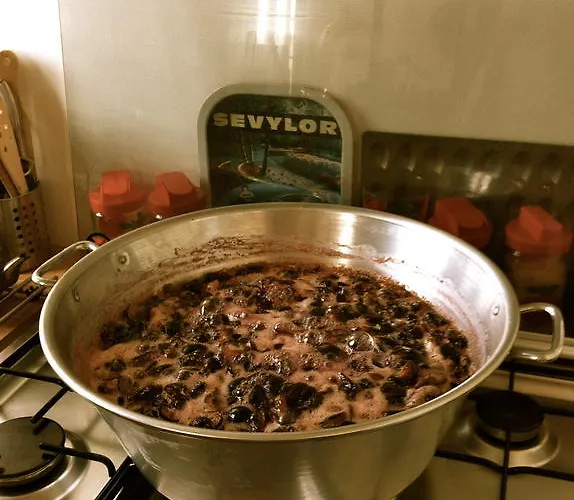 Bed & Breakfast Les Cagettes En Perpignan